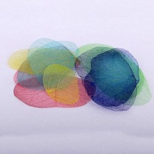 10 Pcs Dried Pressed Flowers for DIY Scrapbooking Crafts Butterfly Leaf
