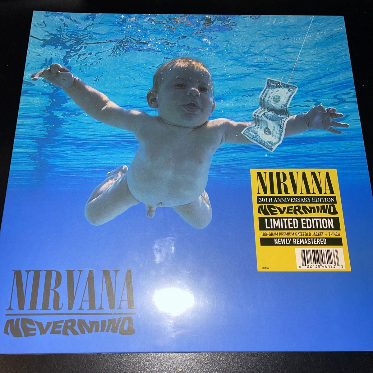 シュリンク付　NIRVANA Nevermind 限定シルバー盤 LP レコード Nevermind LP – Nirvana Official Store