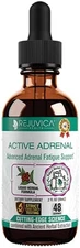 Active Adrenal - Advanced Adrenal Support Tincture - Liquid Delivery for Better