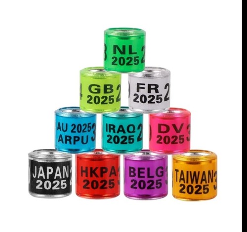 500 Pigeon Ring 2025 , 500 anillos de Palomas 10 DIFERENTES COLOR