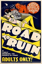 1930s "Road to Ruin" Vintage Style Classic Movie Poster - 24x36
