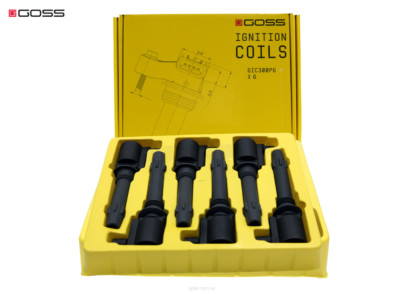GOSS IGNITION COIL 6 PACK - FORD FALCON BA BF / FORD TERRITORY SY