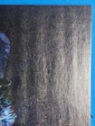 Bild 3 von 12