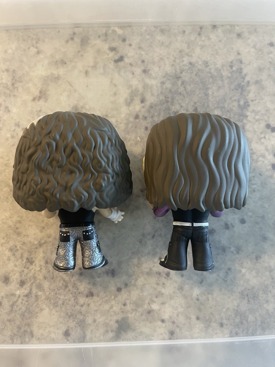 FUNKO POP! WWE - The Hardy Boyz 2 Pack Matt & Jeff Hardy