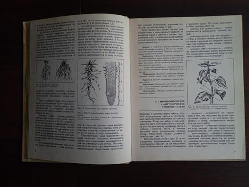 1987 Soviet Book Textbook Floriculture ЦВЕТОВОДСТВО Практикум В.А. Бунин - Picture 5 of 20