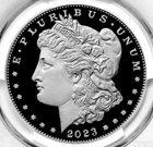 2023-S Morgan Silver Dollar - Deep Cameo Proof (Looks PF 70)- Orig Govt Pack OGP