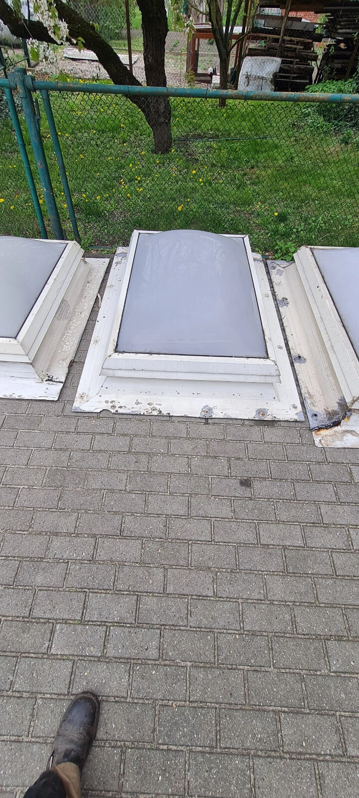 Bild 2 von 3