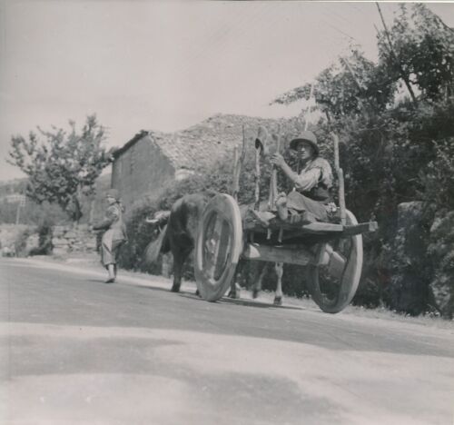 PORTUGAL c. 1950 - Paysan Attelage Boeufs Charette Roues en Bois Regua -DIV 9243