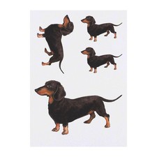 4 x 'Dachshund' Temporary Tattoos / Transfers TO00014846 