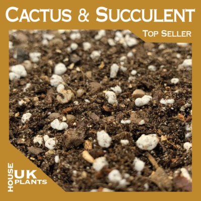 Cactus & Succulent Soil Mix (Pest-Free Potting Compost, Indoor Cacti Succulents)