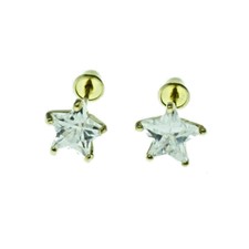 Solid Real14K Yellow Gold 5 prong 7mm Star Stud Earrings Screw Back