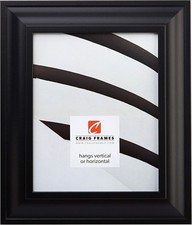 Craig Frames 21834700BK 18 by 24-Inch Picture Frame, Smooth 18 x 24, Black