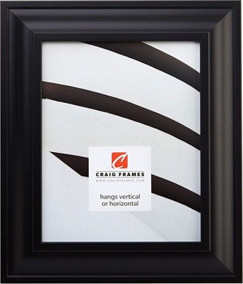 Craig Frames 21834700BK 18 by 24-Inch Picture Frame, Smooth 18 x 24, Black 