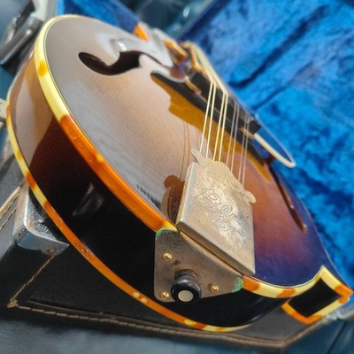 BLUE BELL F-10 マンドリン ブルーベル BLUE BELL F-10 Mandolin Bluebell | eBay