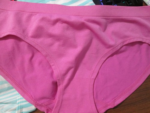 New Hanes,FruitLoom Etc Size 10/L Girls' Bikini Briefs 4 Pk Your Choice of Group - Picture 138 of 157
