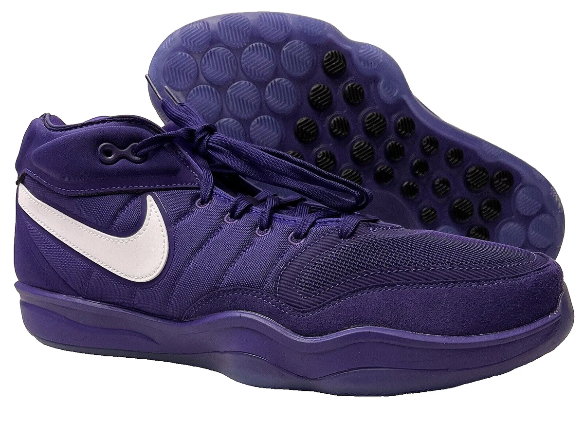 Nike Zoom Rize TB Court Purple for Sale | Authenticity  display picture 1
