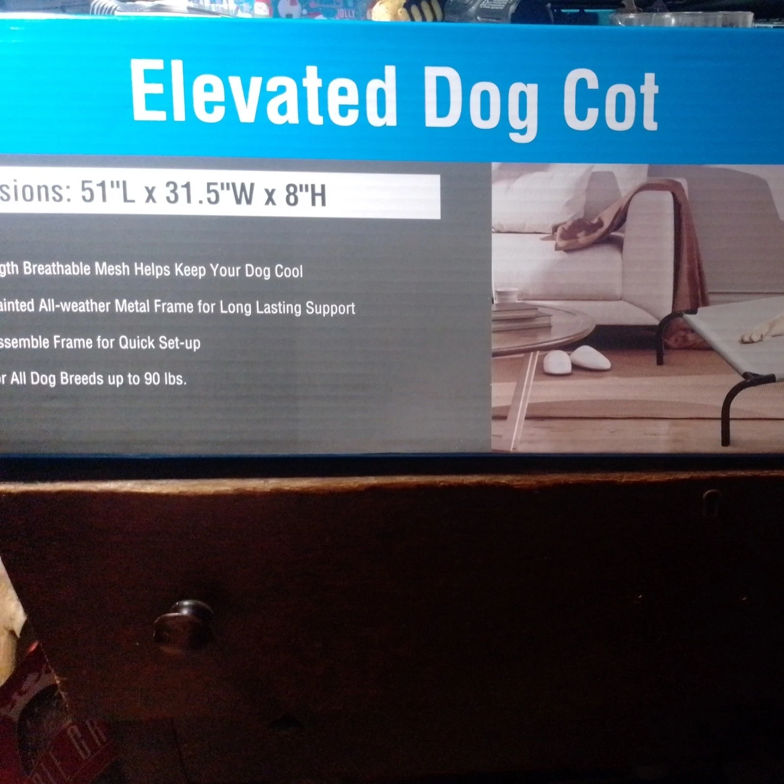 Elevated XL Dog Cot Bed HUGE 51 L x 31.5 W x 8H -up to 90lb pet. USED FOR 3 MINS