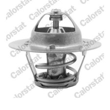 Thermostat Nissan BLUEBIRD
