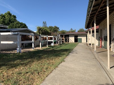 Stables In Ballina Area Nsw Property For Rent Gumtree Australia Free Local Classifieds