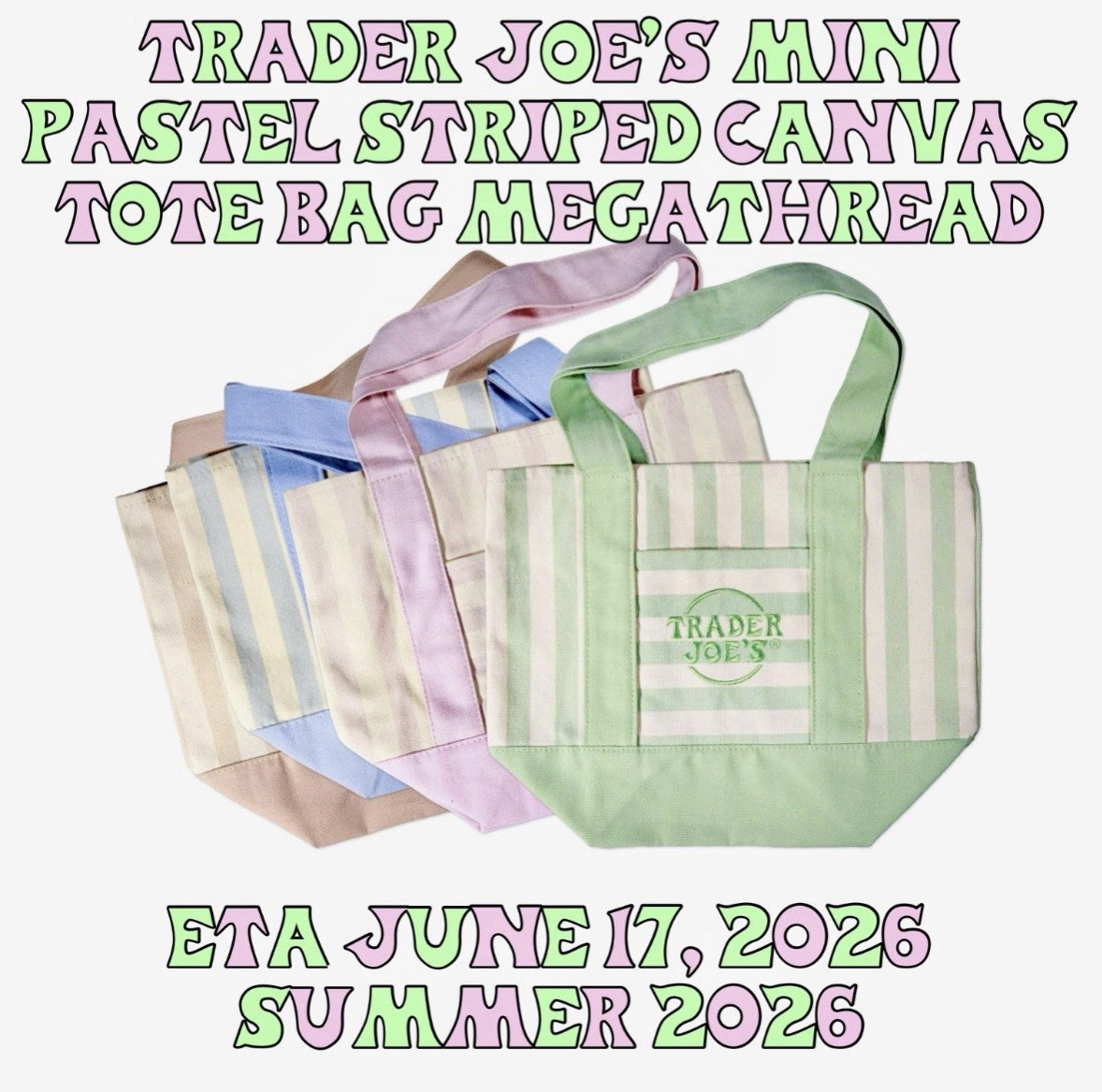 NWT Trader Joe's Striped Canvas Mini Tote Set of 4 Summer 2026 PRE ORDER