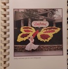 Picture 6 of 9