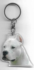 DOGUE ARGENTIN  Porte clés chien / ARGEBTINEAN MOLOSSER  K.FOB