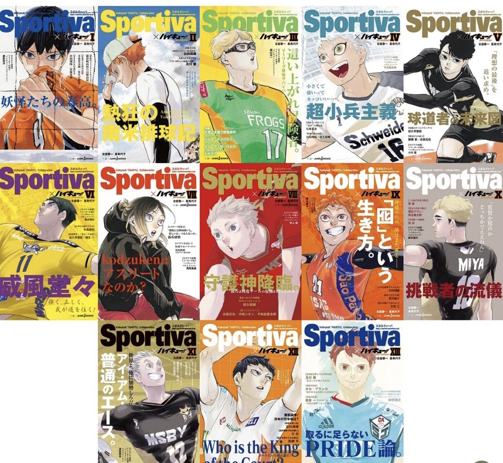 Haikyuu Sportiva Limited Novel Version Complete set 13 Volleyball