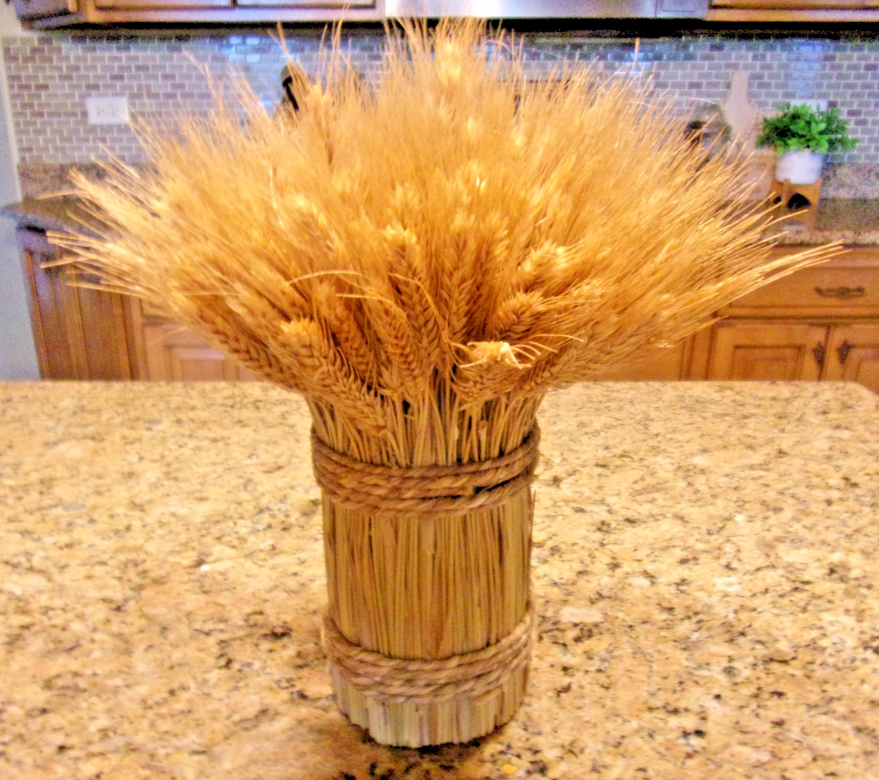 A bundle of dried wheat stalks tied with natural twine, standing upright.