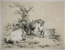 Cooper - From a Sketch From Nature