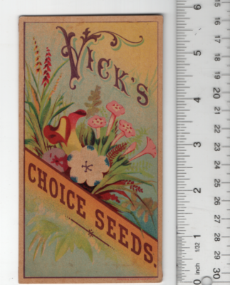 Vick's Choice Seeds Victorian 1880s Trade Card 6