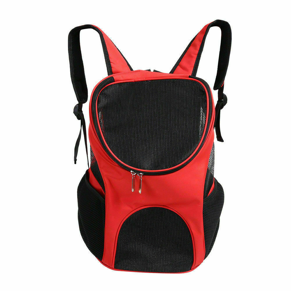 Picture 1