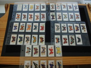 FIVE PAGES CIGARETTE CARDS PLAYERS BUTTERFLIES