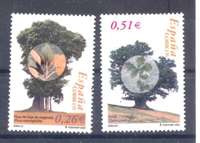 2003 SPAIN Fig (Ficus macrophylla) Quercus robur-MNH