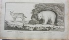 Foto 2 di 12