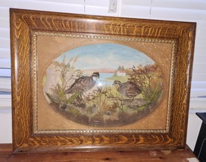 维多利亚式立体模型动物标本剥制术鸟hen 阴茎bobwhites 玻璃阴影盒子框架 Ebay