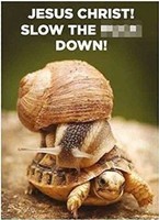 Gadget -D- Half Moon Bay: Retro Humour - Slow Down (Magnete) Half Moon Bay