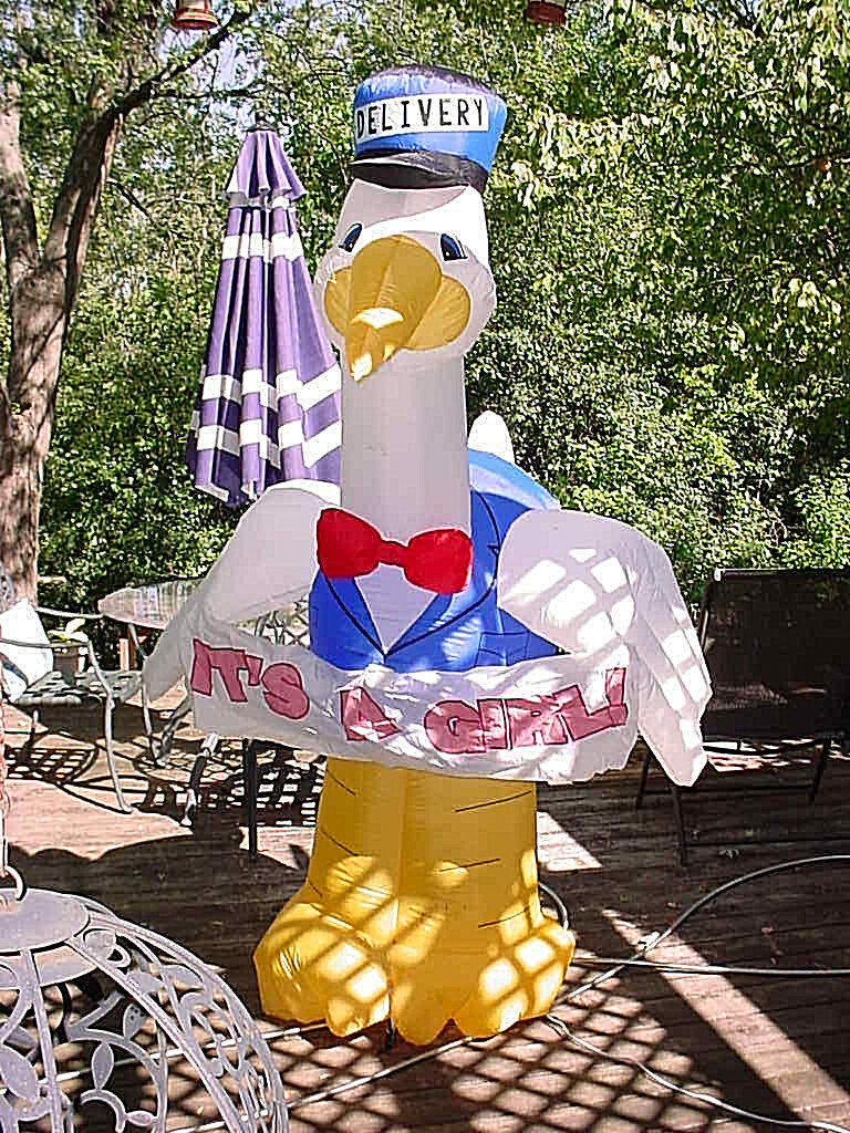 stork baby announcement