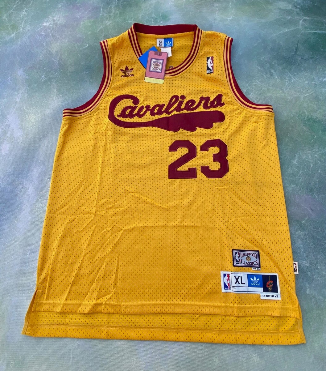 Adidas LEBRON JAMES CLEVELAND CAVALIERS (CAVS) Jersey 1970-74 Swingman NBA  Blue Size L - $30 (80% Off Retail) - From Christinas