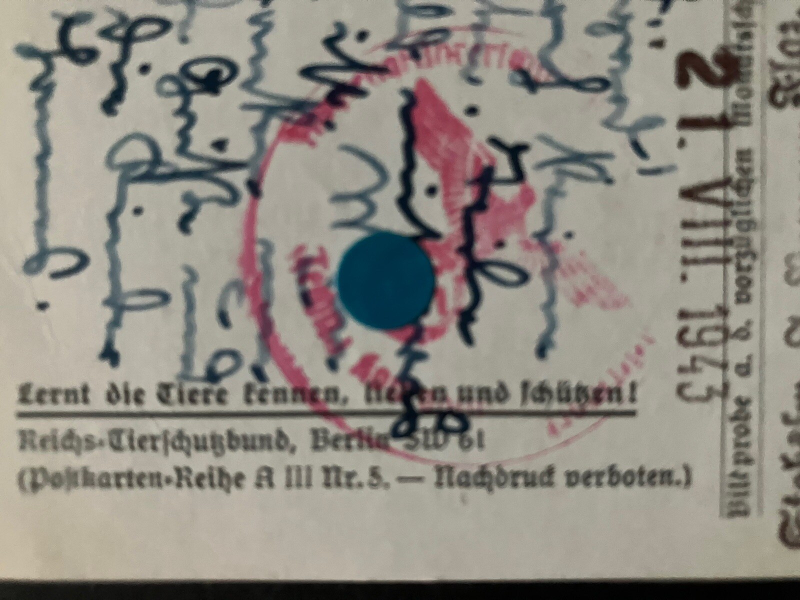 Bild 6 von 6