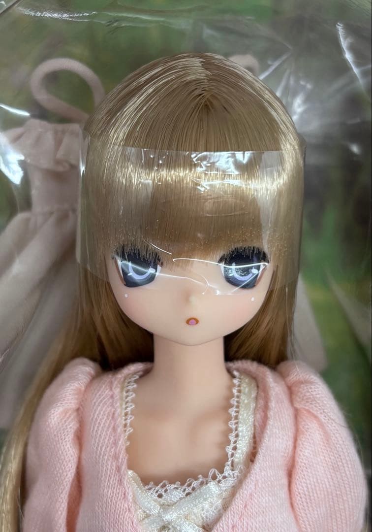 Komorebi Forest Animals Cat/Aika Doll Regular Sale Ver Used