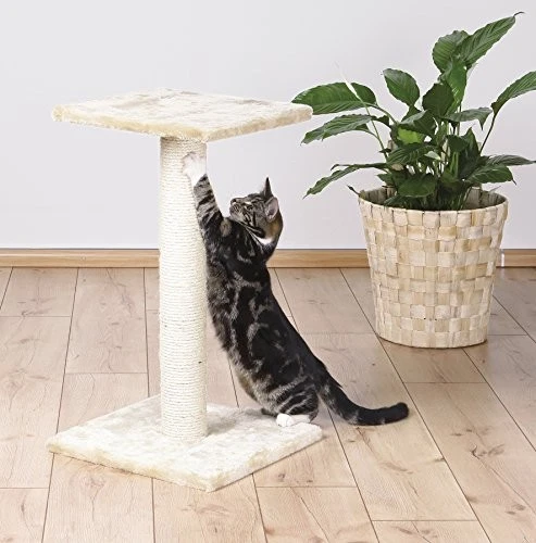 TRIXIE PET PRODUCTS ESPEJO SCRATCHING POST MEDIUM 16 X 16 X 27 IN - GRAY - Image 3 of 4