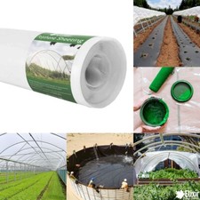2m x 10m 500g Clear Polythene Plastic Greenhouse Sheeting Heavy Duty Building