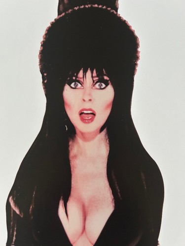 Poster Elvira Mistress of the Dark 430mm x 650mm - Picture 3 of 7