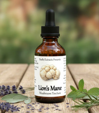 Lion's Mane Tincture H. erinaceus - Fruiting Bodies Liquid Dual-Extract