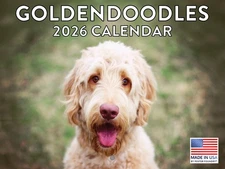 Goldendoodle Calendar 2026 Golden Doodle Monthly Wall Calender