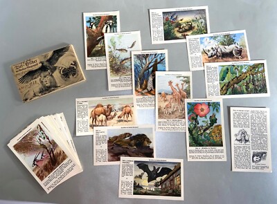 52 Collectible Pictures Animal Pictures Of The Berliner Morgenpost 1934