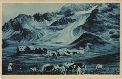 Old postcard Le Col du Lautaret - Les Hotels Bonnabel et le Combeynot (1199025)