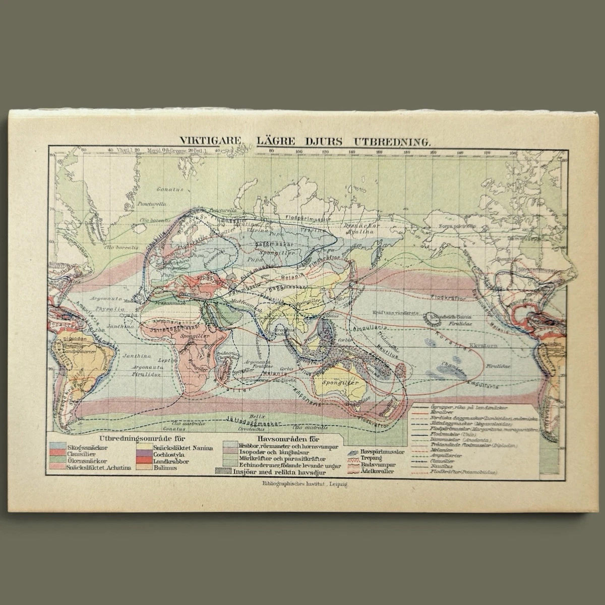 World Antique World Maps & Atlases 1900-1909 for sale | eBay