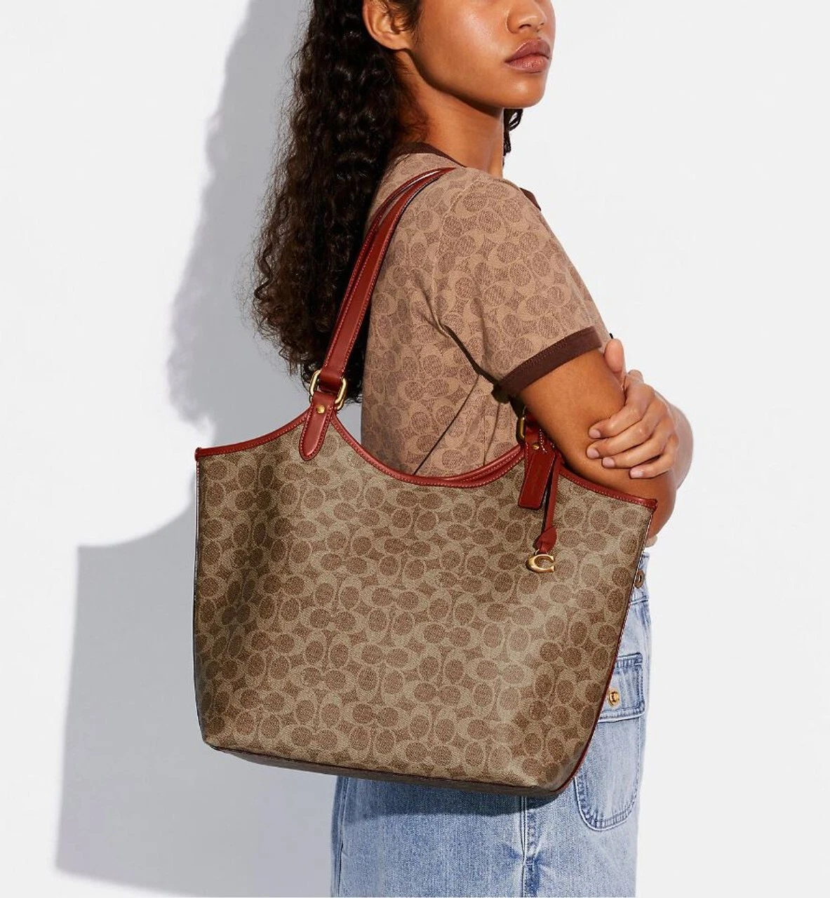 Borsa Coach C6336 Day Tote nuova con etichette in tela firmata rimovibile con zip marrone ruggine