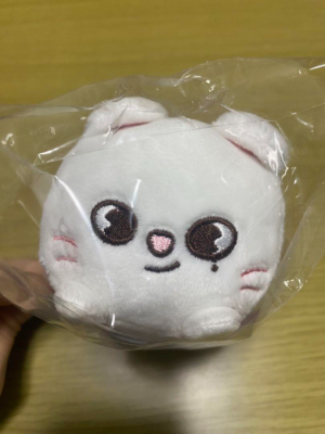 Stray Kids Skzoo Jiniret Hyunjin Mini Bag Charm Official Mascot